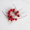 Lebhafte rote künstliche Beerenstiele für Heimdeko und kreative DIY-Blumenarrangements - Rot