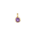 February Birthstone