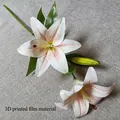 3D printed film lily spray with white-pink petals and realistic green leaves - Champagne Lily