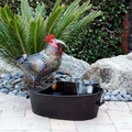 Fontana solare da esterno con scultura di gallo in metallo e vasca d'acqua nera - Flusso d'acqua del gallo