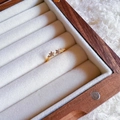 Elegant gold S925 sterling silver bow pearl ring with star zircon in a jewelry box - J5063-Star Zirconia