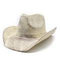 Detail of metallic gold jazz hat with woven texture, wide brim, and stylish crown design - M (56-58cm) / Plain Metallic Champagne