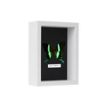 3D white wooden shadow box frame with real green butterfly specimen and black background - 14x14 inch / 5cm Hollow / White