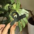 Detail of dark green resin hair claw clip with golden metal spring held by hand - Dark Green