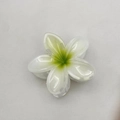 Frangipani flower hair claw clip in gradient white and yellow resin finish - Frangipani Claw Clip (Cross-border Edition) / 8cm / White (Matcha Center)