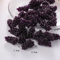 Detail showing miniature purple grape model dimensions measuring 1.4cm by 2.5cm - Deep purple