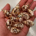Natürlicher Muschelanhänger mit Goldrand für DIY-Schmuckherstellung und Bastelprojekte - Elfenbeinweißgold geränderte hohle Babylonia-Schnecke
