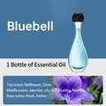 Bluebell fragrance oil refill bottle with jasmine and musk notes for aroma diffuser - Bluebell Essential Oil 1 Bottle