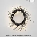 6m USB warm white LED firecracker string light with 200 LEDs on black copper wire - 6m 200LED USB + Remote / Black Wire Warm White
