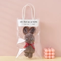 Brown coral fleece teddy towel rabbit in gift bag with red Just for You ribbon - Dark Brown + OPP Handbag