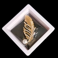Elegant gold feather brooch with sparkling crystals and white pearl in a gift box - XZ191-Gold Rhinestone Feather-Boxed