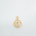 18K gold-plated dolphin pendant with natural shell inlay and sparkling star charms - Dolphin-Gold(White Shell)