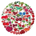 Set of 60 cherry-themed waterproof vinyl stickers for laptop and luggage decoration - Cherry Fruit-60PCS