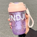 Portable pink and purple frosted water bottle with dual-drink lid and carry strap - 580ml / Pink