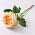 Artificial champagne Austin rose with wet-touch petals and realistic green stem leaves - Single Stem/45cm / Champagne