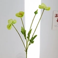 Realistic light green artificial poppy flower with yellow stamens and fuzzy green stem - Premium Green