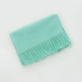 Soft mint green cashmere-like scarf with fringe tassels for winter warmth and travel - Aqua Green