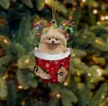 Weihnachtsanhänger mit Pomeranian in festlichem rotem Strumpf und Rentiergeweih-Deko - Zwergspitz
