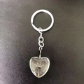 Macro di un portachiavi a cuore in resina con un vero seme di dente di leone - Tarassaco Cuore
