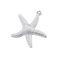 Vue détaillée du pendentif étoile de mer argenté avec surface métallique texturée - Étoile de mer texturée VD1578 / Or blanc