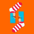 Flat lay of blue crew socks featuring walrus patterns and red striped cuffs on orange background - Walrus