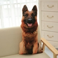 Berger Allemand