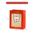 Red Christmas window gift bag with Santa print and rope handle measuring 23x18x11cm - Santa Claus Red Medium