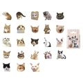 Meow Adventure cat sticker set with assorted funny feline designs and a pink striped gift box - Meow's Adventure