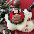 Close-up of festive crochet pet bib with reindeer applique and Christmas knit textures - One Size / Christmas Reindeer