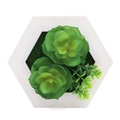 Artificial succulent plants in a white hexagonal wooden frame with green moss accent - Style 7E