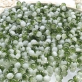 Macro detail of 10mm green and white cracked glass beads for DIY jewelry making - 8mm Semi-white Dark Green