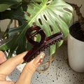 Detail of a deep coffee translucent resin hair claw clip held against a leafy green plant - Glossy Red Brown