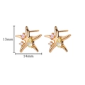 Detail of starfish stud earrings with colorful crystals and 925 silver gold plating - Gold Starfish Multi-Color Zircon Studs (E4220G)