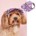 Adjustable purple and pink camo pet baseball hat with ear holes and breathable mesh - Purple Camo Mesh