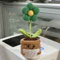 Handmade crochet flower pot with funny quote sign and smiling face in green and yellow - Small Green Flower 2