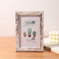 Close-up of vintage white wood photo frame with rustic finish and cactus art print - Antique Silver