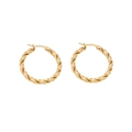 Minimalist gold-plated stainless steel twisted rope C-shaped hoop earrings for women - Twisted Rope Texture Hoop Style (6#)