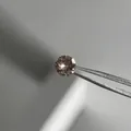 Titanium steel champagne round brilliant cut stud earring with screw back design - 6mm Light Silk/Champagne (Single Piece)