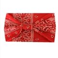 Bohemian wide yoga headband featuring red paisley print and a stylish twist knot design - Red Paisley