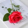 Lifelike single stem red velvet rose with green leaves on white magazine background - Floyd Red