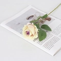 Artificial yellow-pink velvet rose with dark purple center on magazine background - Small Velvet Purple Core