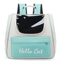 Portable pet carrier backpack in mint green and beige with large clear window - Basic Style / Off-white Green