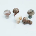Set of five polished mini mushroom stone carvings in diverse natural earth tones - Crazy Agate