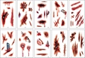 Grille détaillée de dix tatouages temporaires affichant des blessures réalistes et des cicatrices - Cicatrice / Lot de 10 feuilles