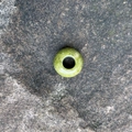 Natural green stone abacus bead with 5mm large hole for DIY jewelry making - Unakite
