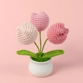 Handmade crochet pink tulip plant in a white ceramic pot with soft pink background - Pink Gradient 3 Head Tulip
