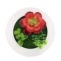 Artificial succulent in white round frame with vibrant red and orange gradient petals - Style 9F