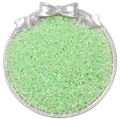 Light green 2.5mm iridescent glass seed beads for DIY jewelry making in a silver tray - Grass Green (10g/Pack Approx 700pcs)