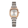 Orologio GEDI lusso quarzo bicolore acciaio inossidabile con quadrante quadrato argento - Cassa Oro Rosa Quadrante Bianco Cinturino Bicolore