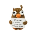 Handmade brown knit owl potato toy holding a wise message sign on white background - Dark Brown Owl